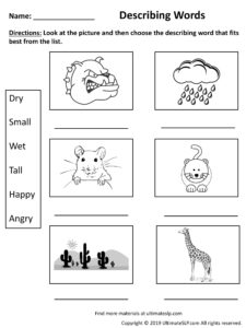 Describing Words Worksheet - Ultimate SLP