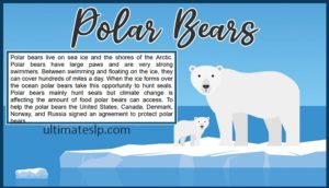 good thesis statement for polar bears