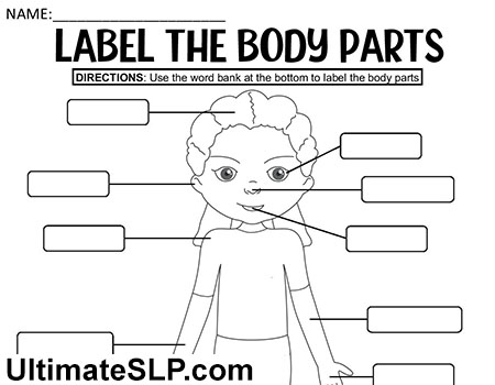 Label the Body Parts Worksheet - Ultimate SLP