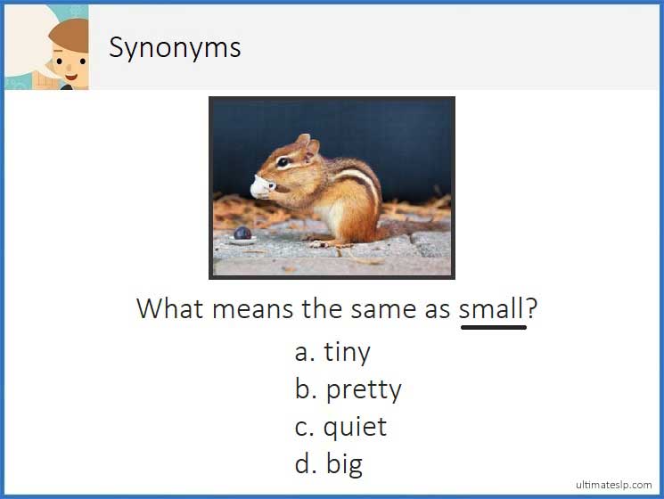 Synonyms Level 1 Cards Ultimate SLP