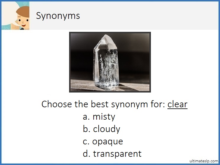 Synonyms Level 2 Cards Ultimate SLP