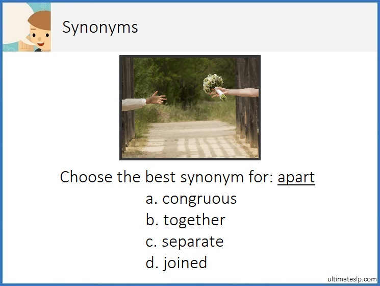 Synonyms Level 2 Cards Ultimate SLP