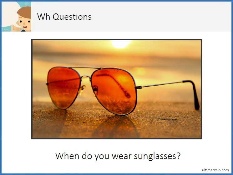 Wh- Question Cards (who, what, where, when) - Ultimate SLP