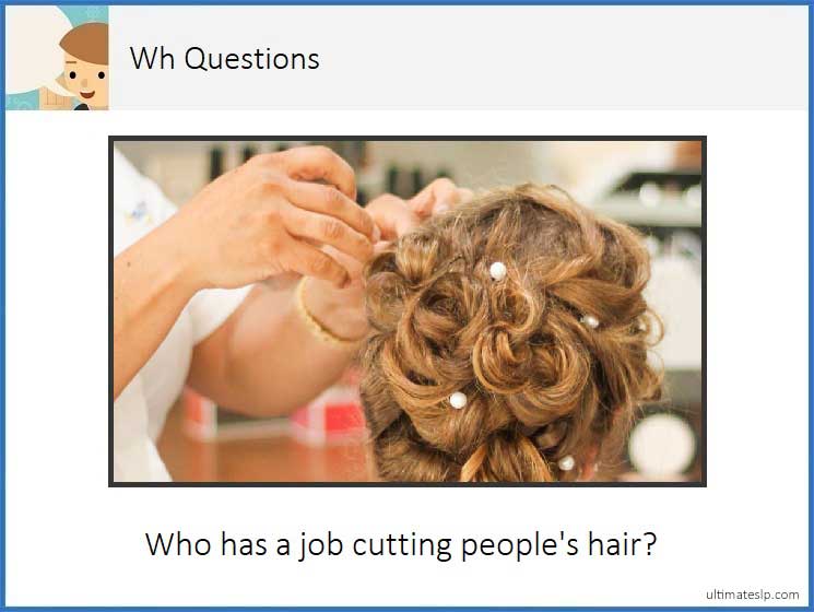 Wh- Question Cards (who, what, where, when) - Ultimate SLP