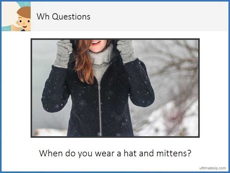 Wh- Question Cards (who, what, where, when) - Ultimate SLP