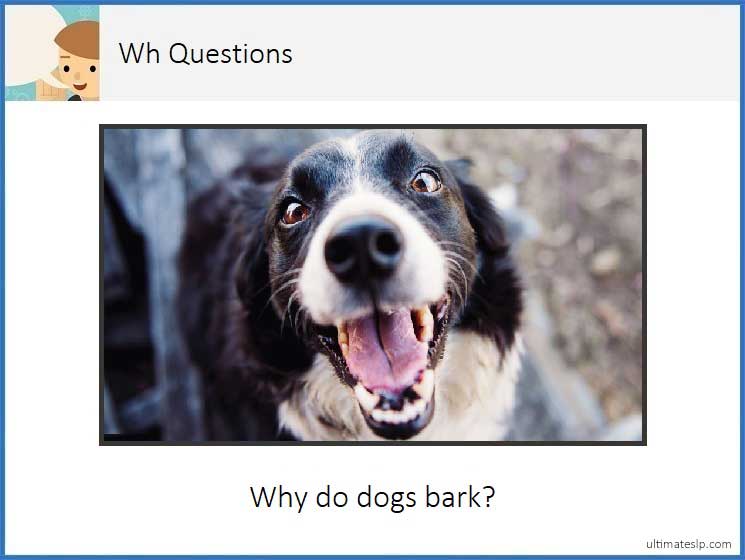 Wh- Question Cards (who, what, where, when) - Ultimate SLP